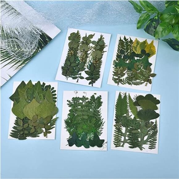 42 PCS Dried Leaves Pressed Leaves Dried Pressed Flowers for Craftsl Dried Leave - Picture 2 of 6